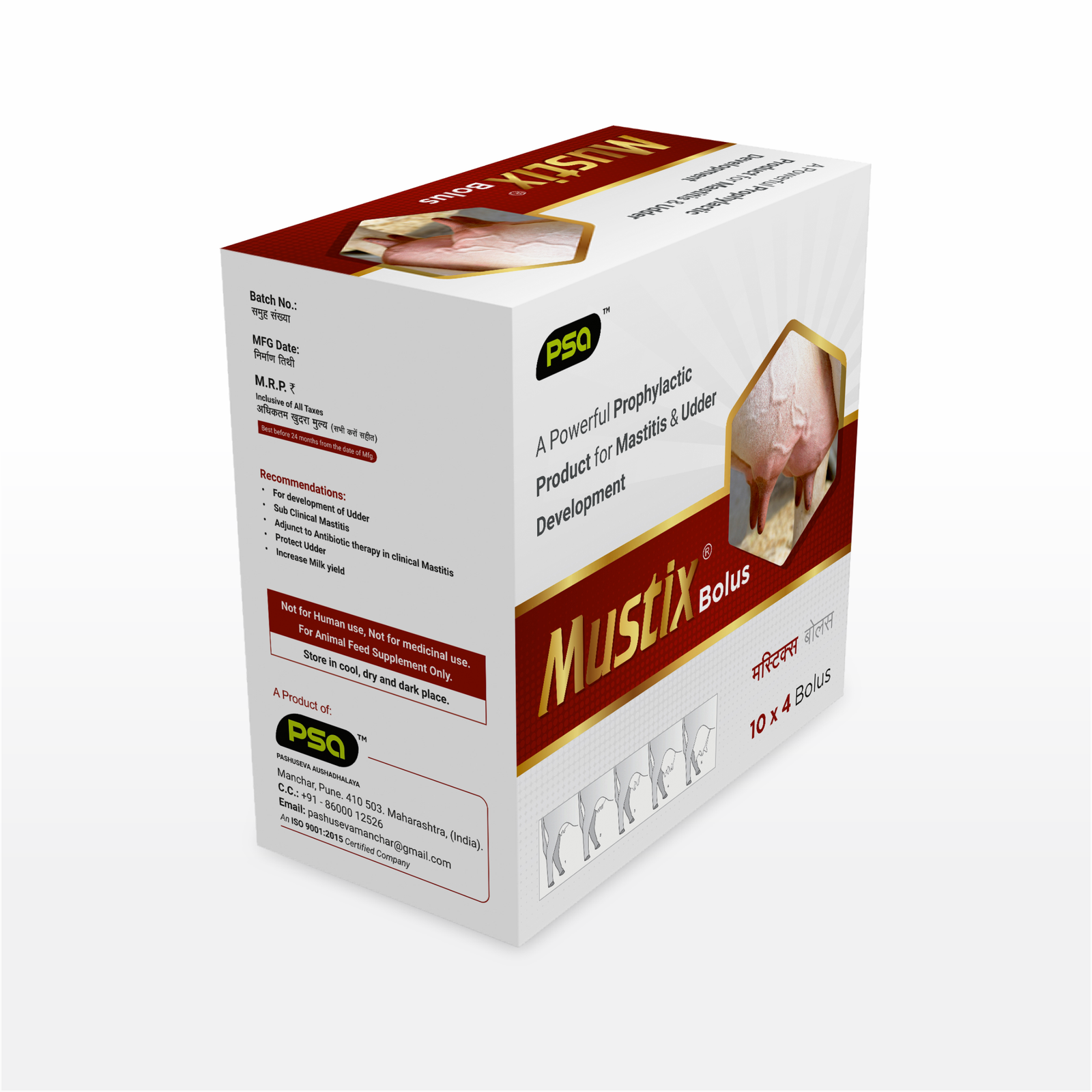 Mustix® Bolus 10 x 4