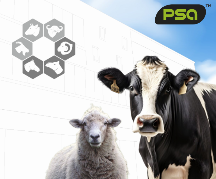 Why choose PSA